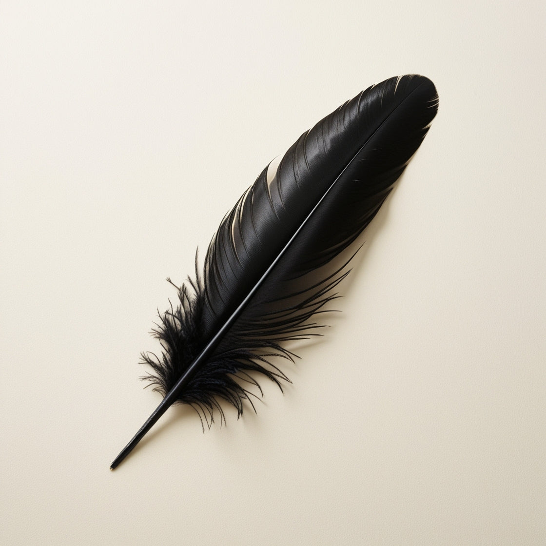 Black Feather by: Megan Parker